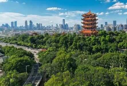 德州扑克出手顺序-德州扑克出手顺序，掌握游戏中的时间掌控艺术